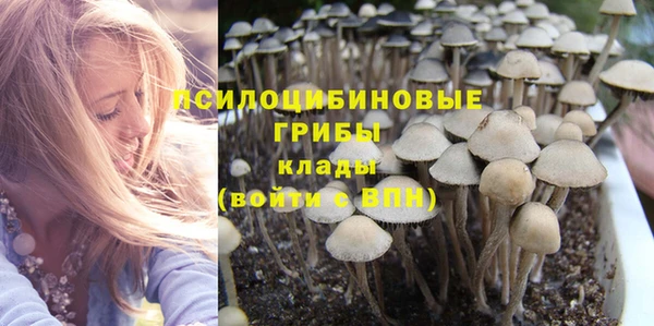 гашик Кодинск